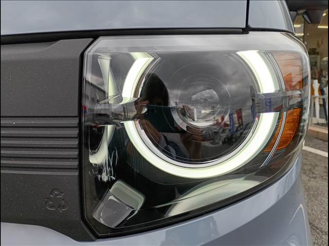 N-VAN e