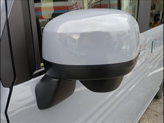 N-VAN e