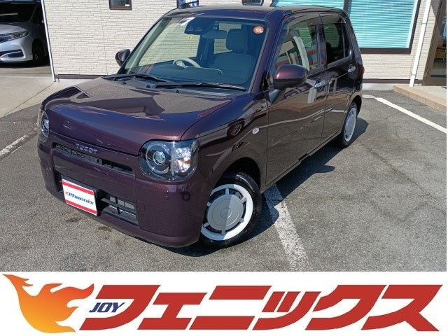 Mira Tocot