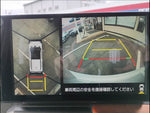 タフト