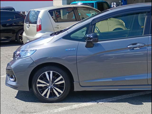 Fit Hybrid