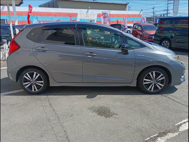 Fit Hybrid