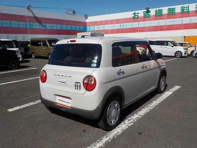 Alto Lapin