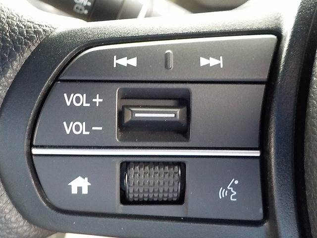 N-VAN e