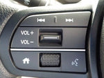 N-VAN e