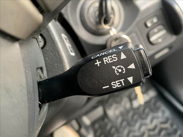 FJ Cruiser