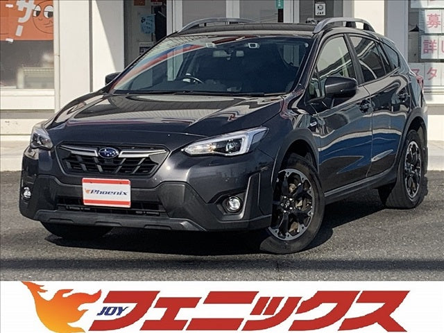 XV