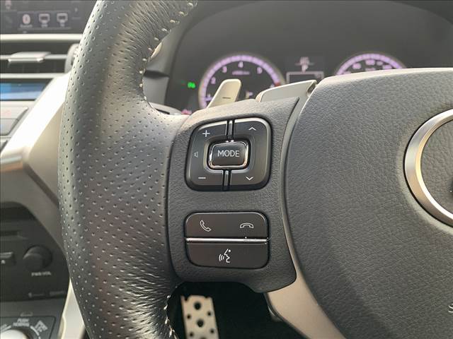 NX