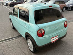 Alto Lapin