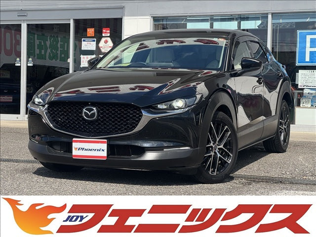CX-30