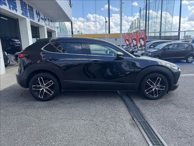CX-30