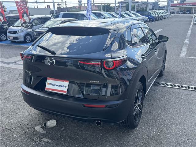 CX-30