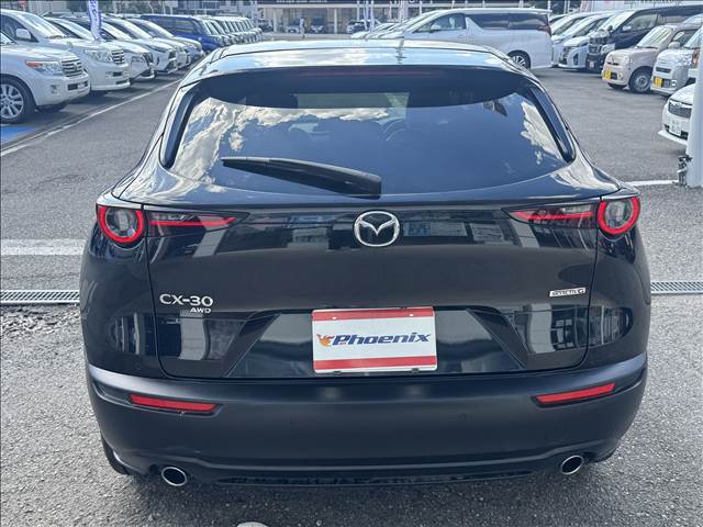 CX-30