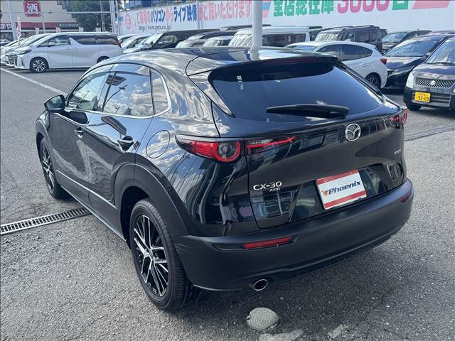CX-30