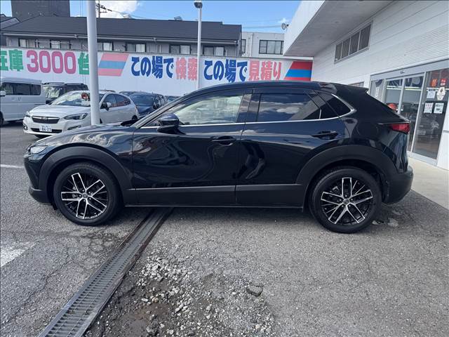 CX-30