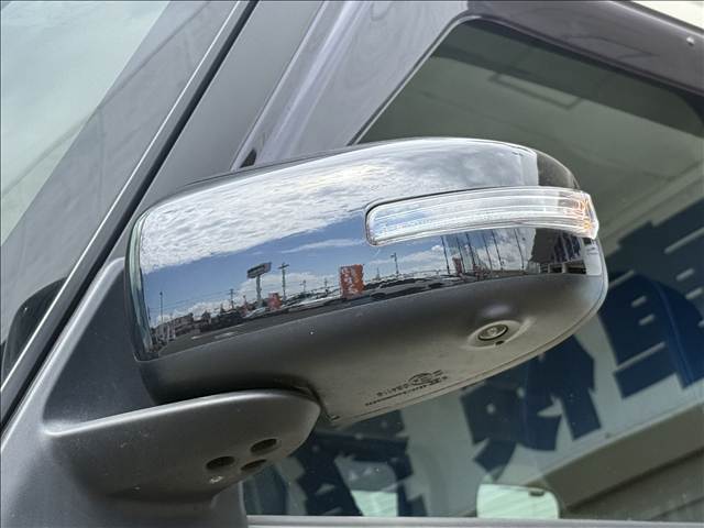 Delica Mini