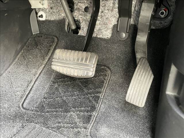Delica D5