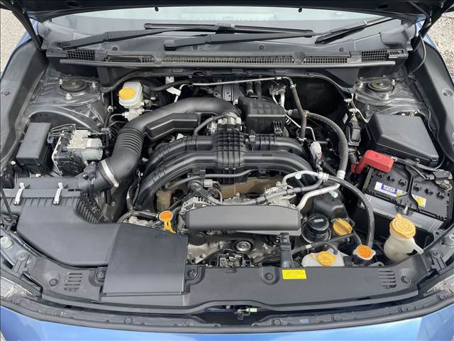 XV