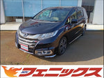 Odyssey Absolute