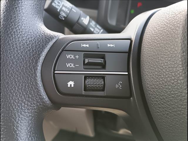 N-VAN e
