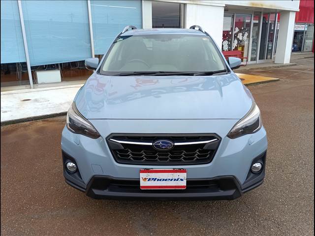 XV