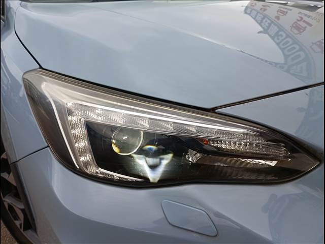 XV