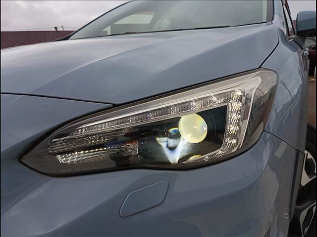 XV