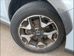 XV