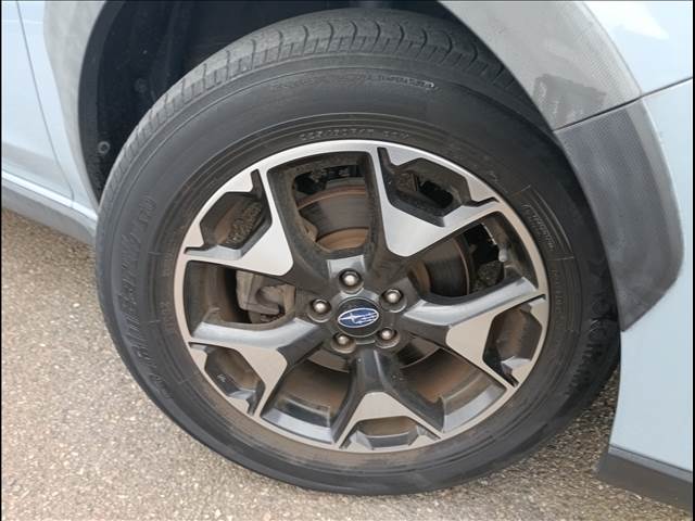XV