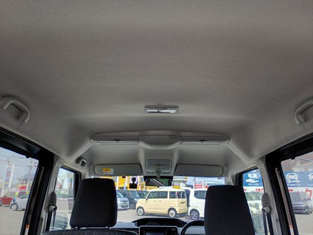 Delica D2