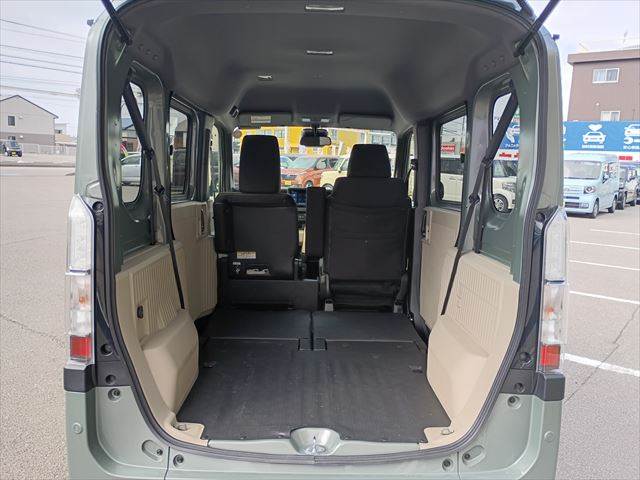 N-VAN e