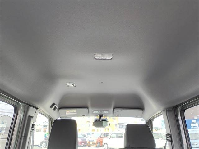 N-VAN e