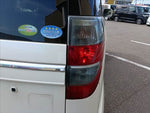 Zest Spark