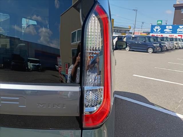 Delica Mini