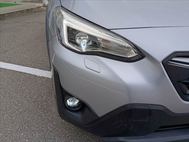 XV