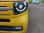 N-VAN