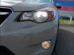 XV