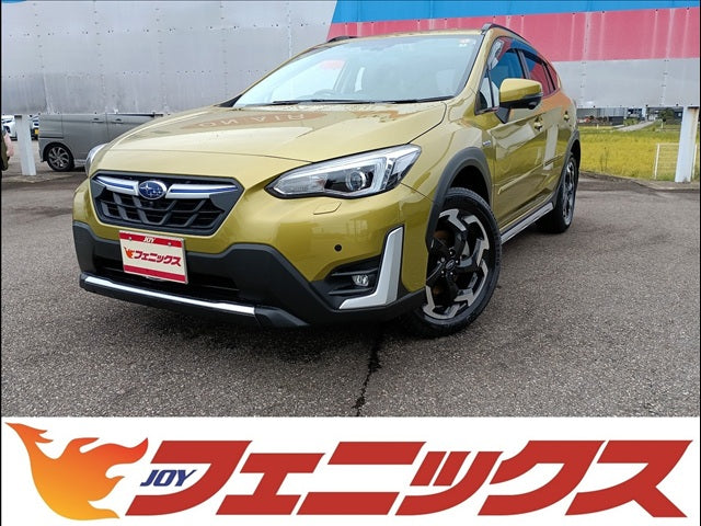 XV