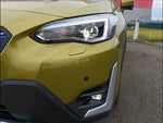 XV
