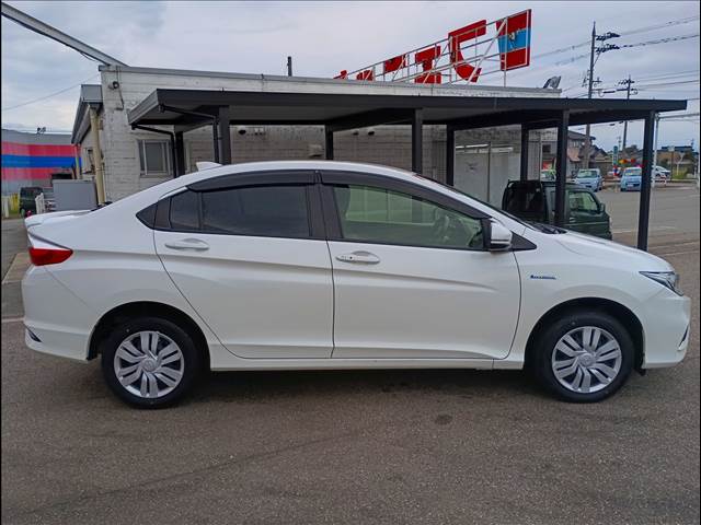 Grace Hybrid