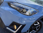 XV