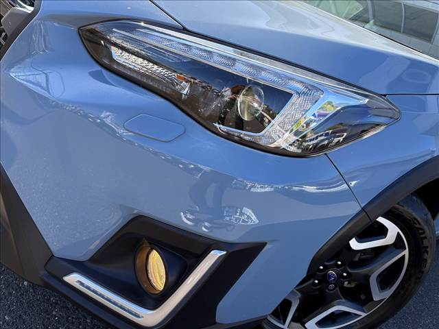 XV
