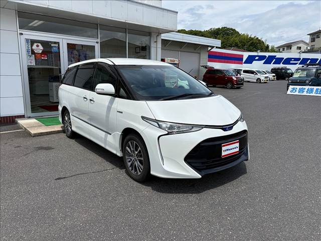 Estima Hybrid (Welcab)