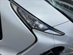 Estima Hybrid (Welcab)