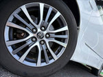 Estima Hybrid (Welcab)