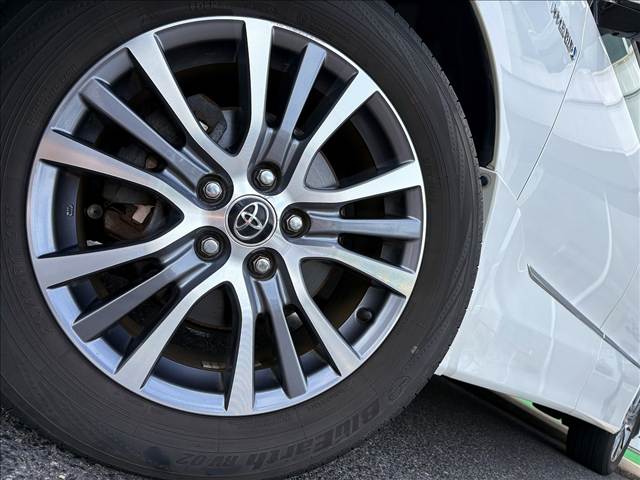 Estima Hybrid (Welcab)