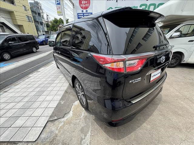 Estima Hybrid