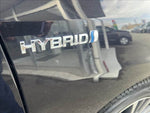 Estima Hybrid