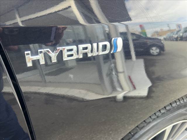 Estima Hybrid
