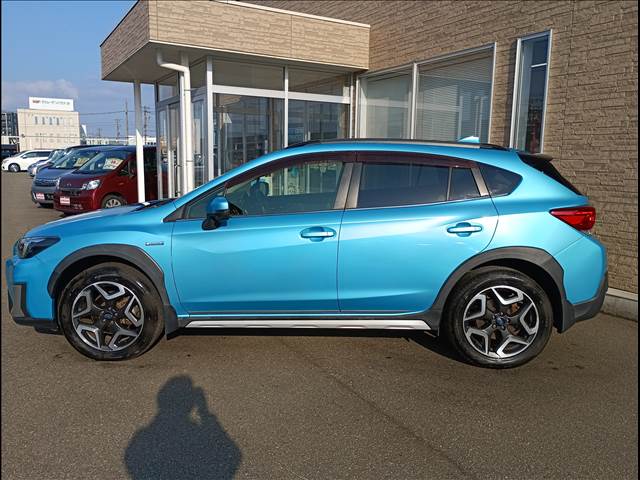 XV